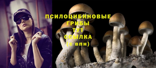 синтетический гашиш Богородицк