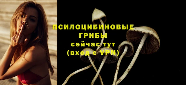 гашиш Богданович