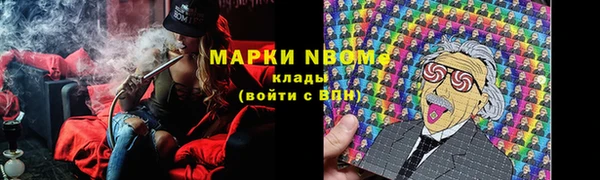 гашиш Богданович