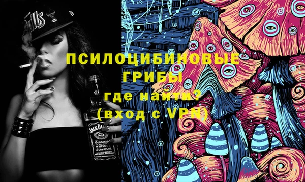 синтетический гашиш Богородицк