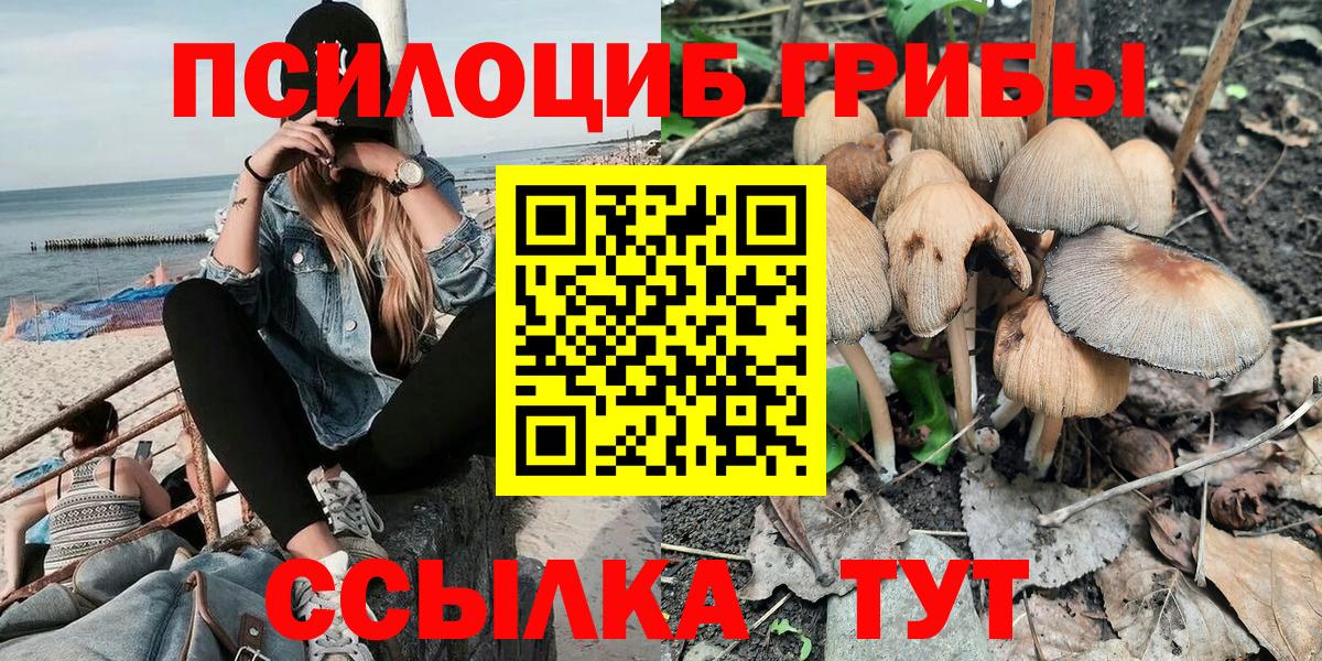 Бахчисарай  Псилоцибиновые грибы ЛСД  Вход с VPN 
