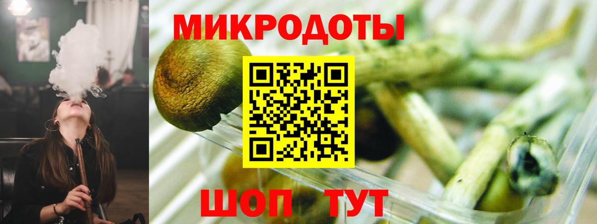 Псилоцибиновые грибы Cubensis Бахчисарай