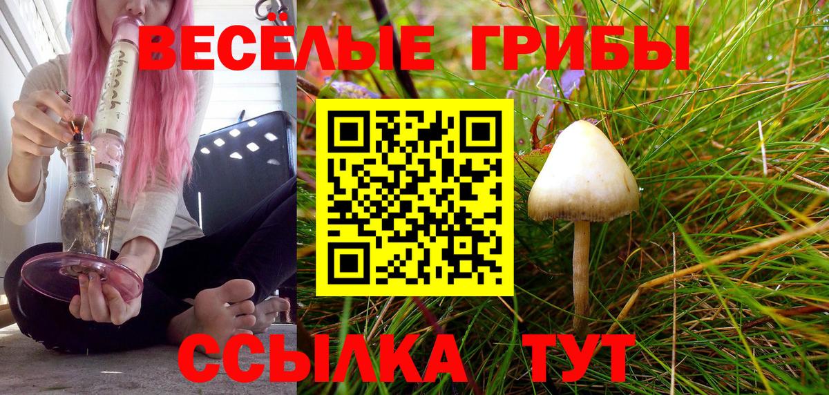 Галлюциногенные грибы ЛСД Бахчисарай