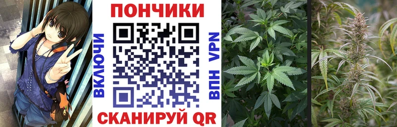Каннабис сатива  Бахчисарай 